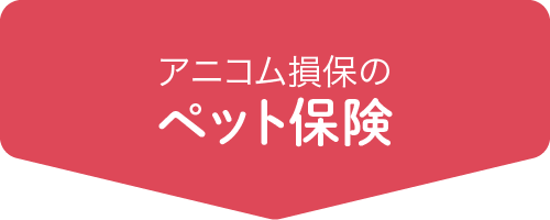 アニコム損保のペット保険